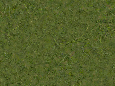  草地 草皮草地 草皮 