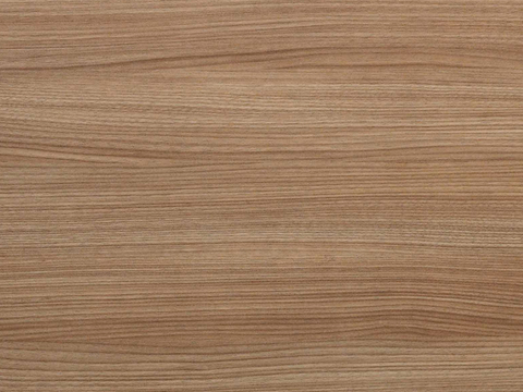 現(xiàn)代意式 輕奢 胡桃木 橡木 原木 地板 直紋木紋/木紋磚 
