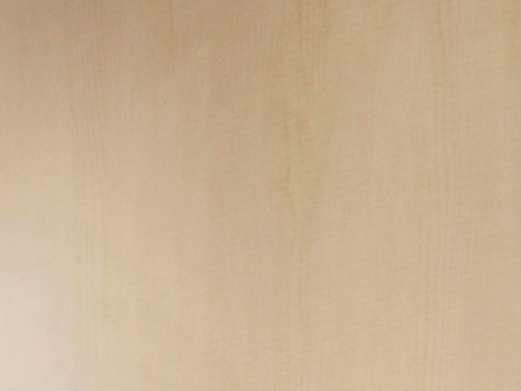  現(xiàn)代意式 輕奢 胡桃木 橡木 原木 地板 直紋木紋/木紋磚 