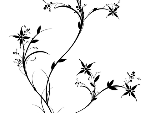  植物黑白凹凸 