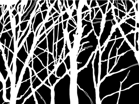  树影黑白凹凸 