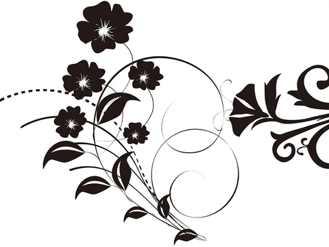  黑白凹凸 装饰花纹 