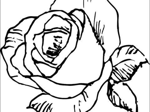  布纹布料黑白凹凸 装饰花纹 