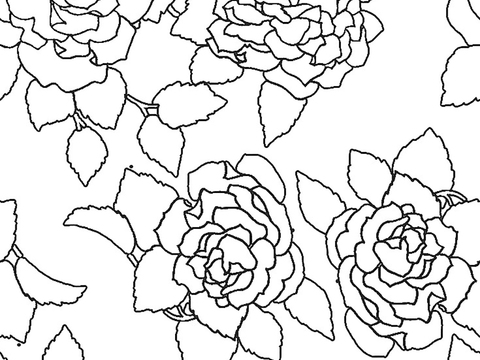  植物花朵黑白凹凸 