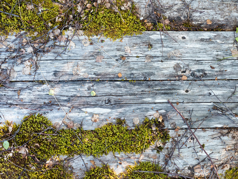  户外旧木板防腐木 木拼版木格珊 