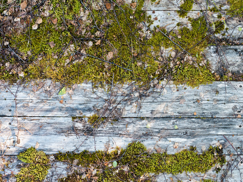  户外旧木板防腐木 木拼版木格珊 