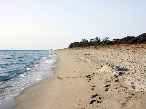  海边沙滩外景 环境外景 自然风景外景贴图 