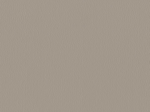  皮革 粗纹皮革 细纹皮革 编织皮 软包皮革 花纹皮革 