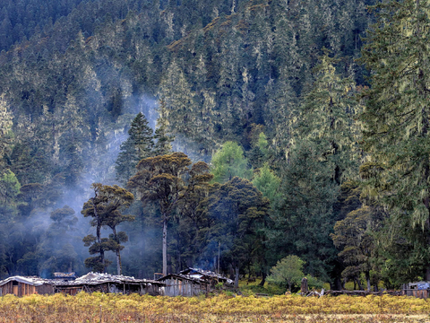  远山树木风景  大自然风景   环境外景 