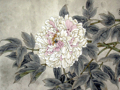  牡丹 中式墙绘 古典挂画 