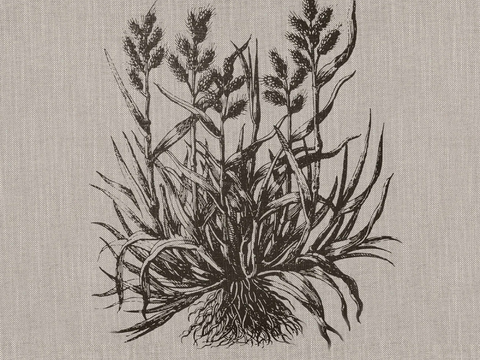  布纹布料  花纹布纹  针织布艺 