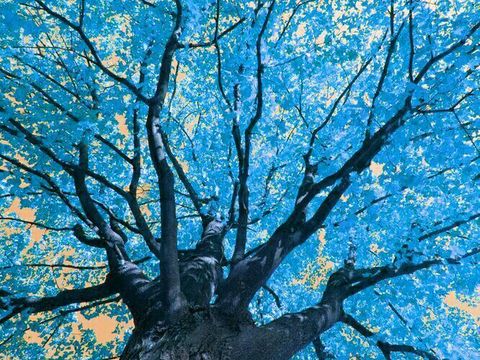  艺术画 现代画 抽象画 