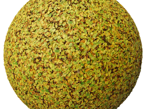  落叶泥地草地土地自然地面地表 PBR材质贴图 2K 