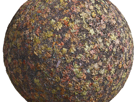  枯叶泥地草地土地自然地面地表 PBR材质贴图 2K 