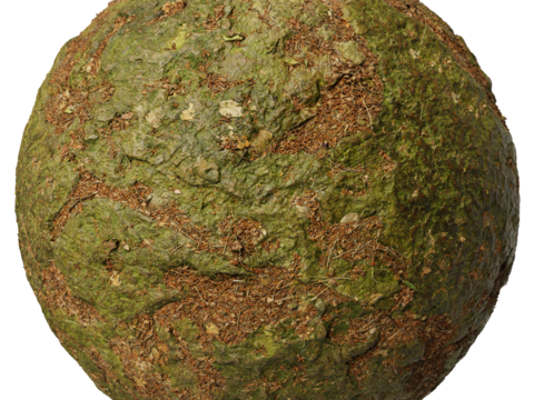  青苔地泥地草地土地自然地面地表 PBR材质贴图 2k 