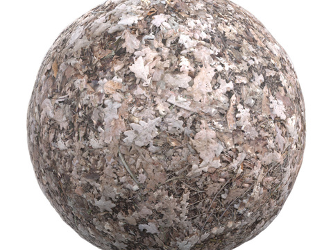  枯叶地面泥地草地土地自然地面 PBR材质贴图 1K 