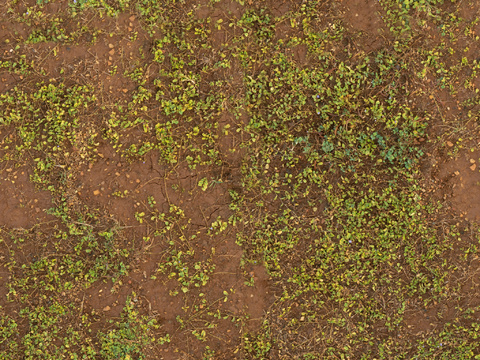  泥地草地土地自然地面地表 PBR材质贴图 2k 