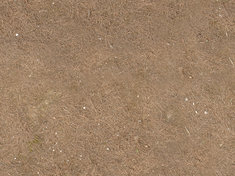  泥地草地枯草土地自然地面地表 PBR材质贴图 2K 