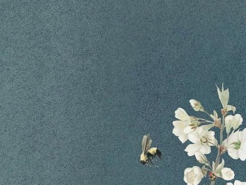  现代装饰画 现代简约挂画 风景装饰画 艺术挂画 