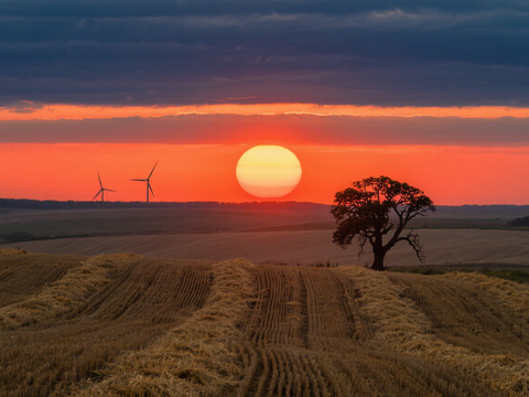  风景 黄昏 夕阳 农田 落日 