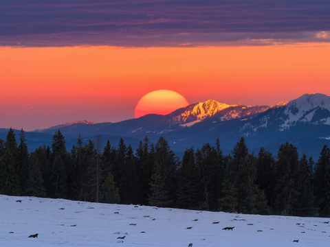  风景 黄昏 夕阳 雪山 