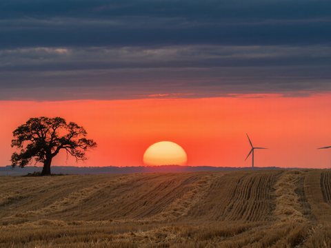  风景 黄昏 夕阳 农田 