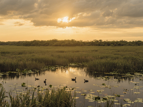  风景 黄昏 夕阳 湖面 