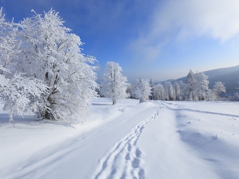  冬季户外雪景 