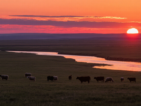  黄昏 夕阳 湖面 草原 
