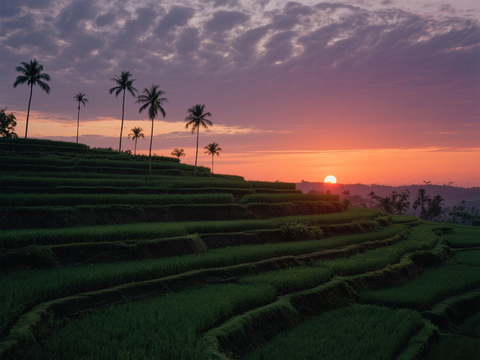  黄昏 夕阳 山脉 