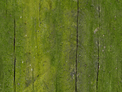  老旧破旧苔藓木板木纹 PBR材质贴图 2k 