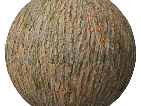  树皮 PBR材质贴图 2k 