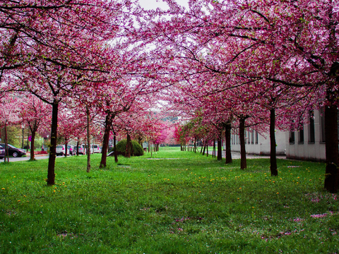  白天城市公园外景 