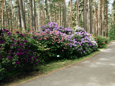  白天城市公园外景 