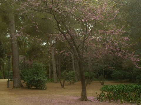  白天城市公园外景 