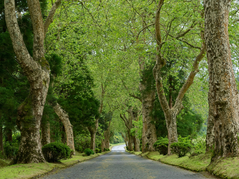  白天城市街道外景 