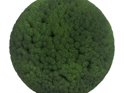  苔藓青苔 PBR贴图 2k 