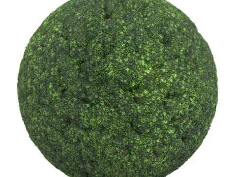  苔藓青苔 PBR贴图 1k 