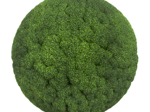  苔藓青苔 PBR贴图 2k 