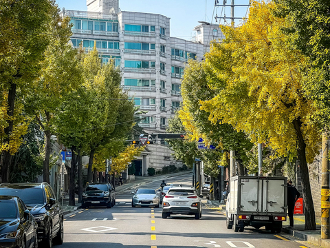  白天城市街道外景 
