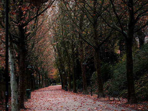  白天城市街道外景 