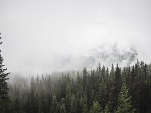  现代天空外景_树木天空外景贴图 