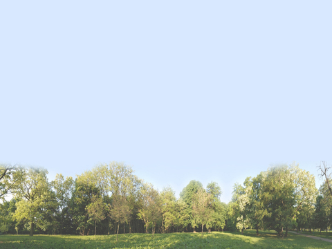  现代其它外景_外景_树_窗外树_晴朗天空_树木森林 