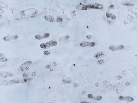  雪地 PBR材质贴图 2k 