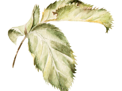  中式高清装饰画 