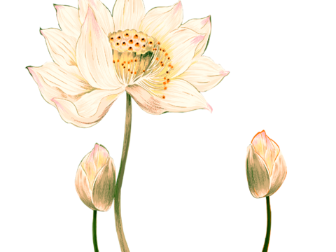  中式高清装饰画 