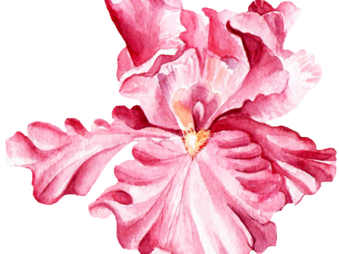  高清中式装饰画 