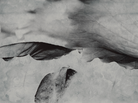  中式新中式水墨画壁纸壁布墙纸墙布背景墙 