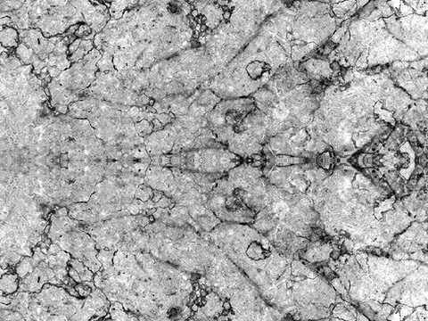  中古美式家居客厅 带动画 中古风壁画贴图 