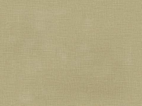  亚麻布纹布料织物 